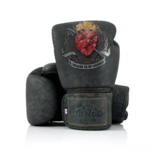 Fairtex Boxing Gloves