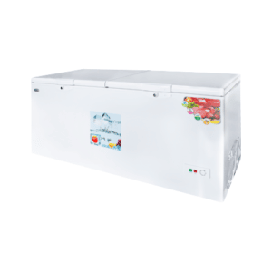 Double Door Freezer