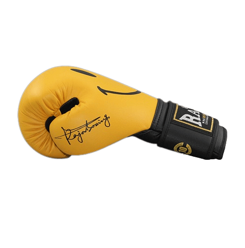 The Best Boxing Gloves Of 2023 Our Top 10 Reviewed